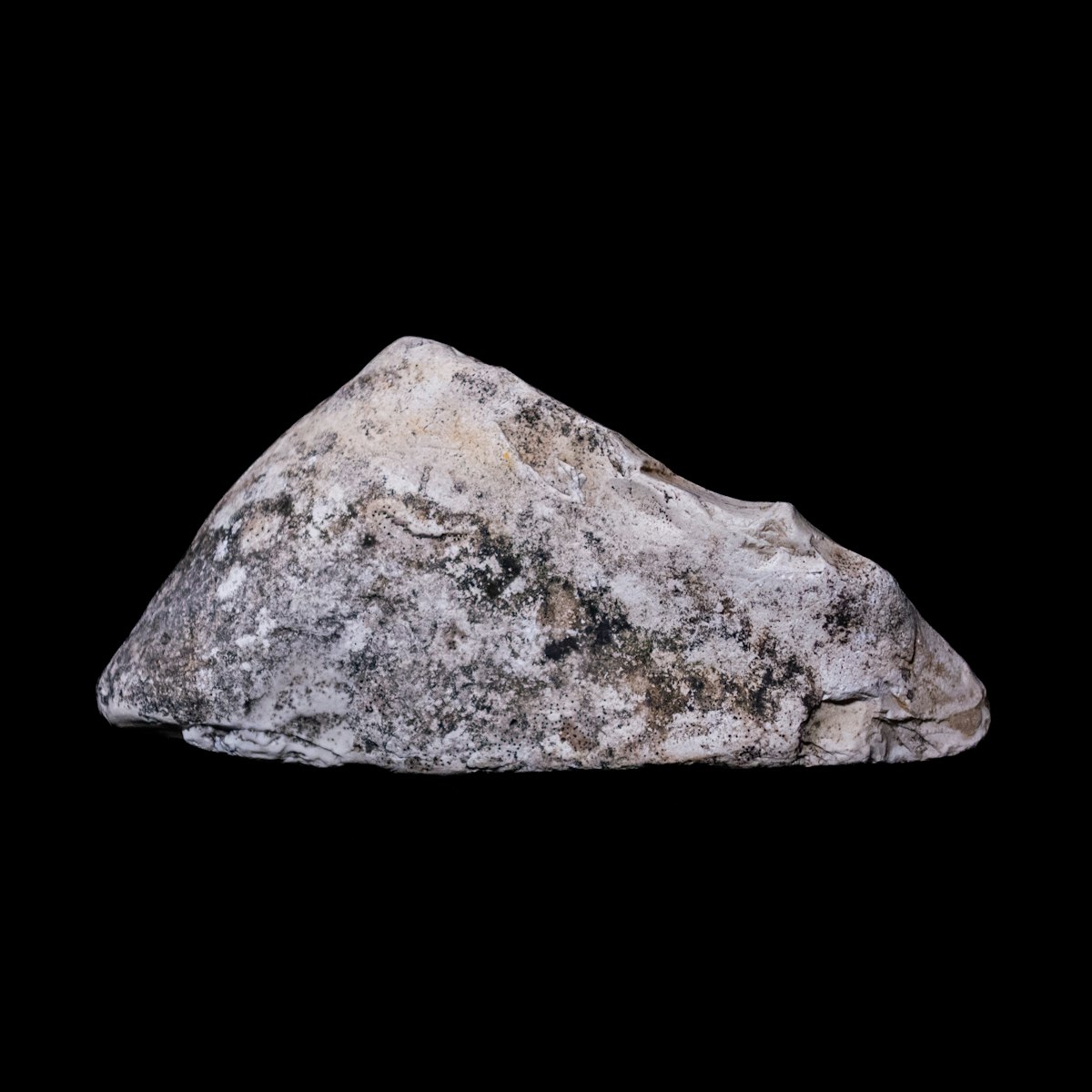 Rock hand specimen photographed against a black background