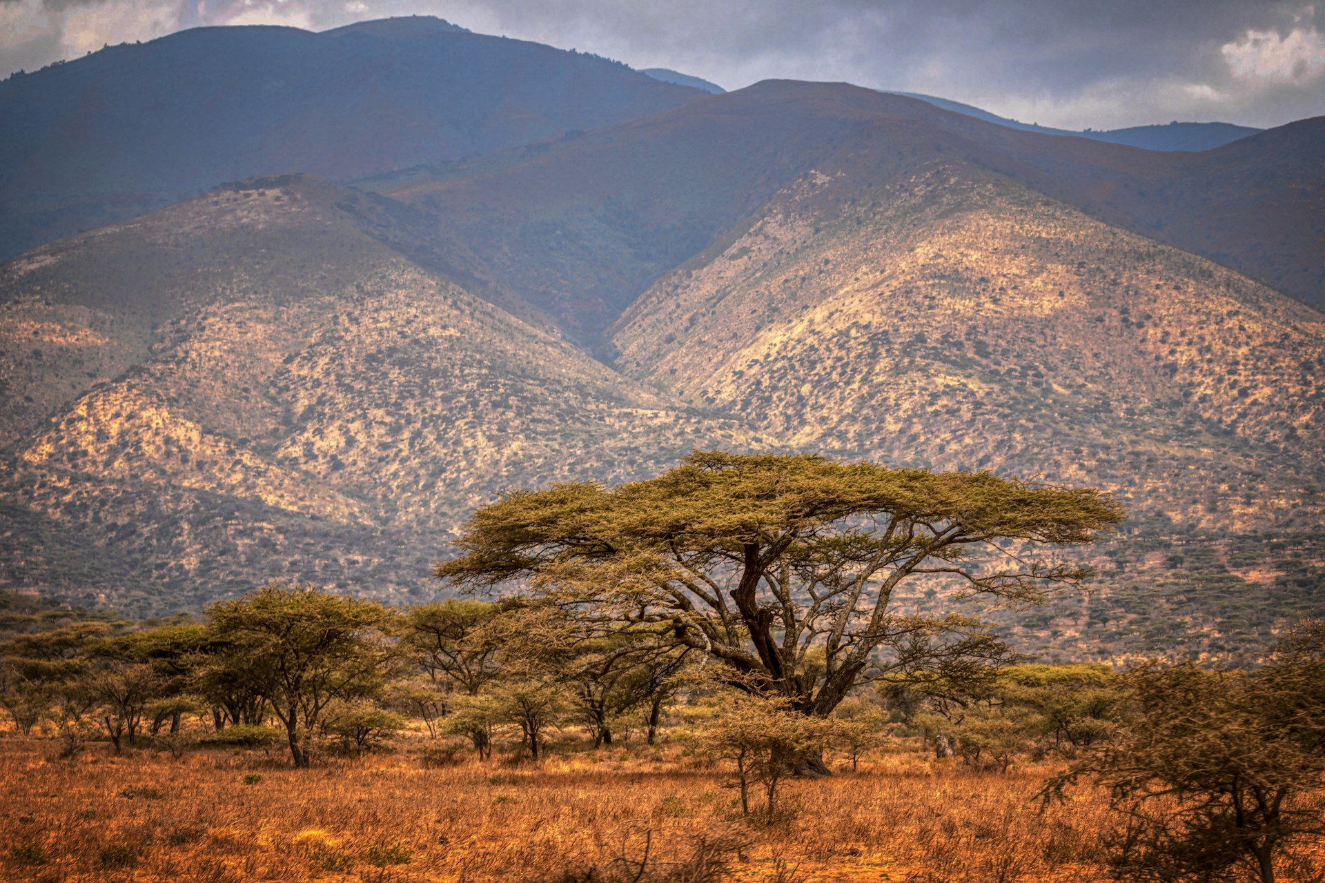 Tanzanian landscape with mountains behind open grassland